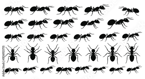 Detailed black ant silhouettes in various poses and sizes
