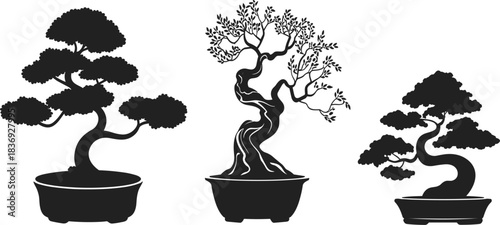 Detailed black vector silhouette set of three different traditional Japanese bonsai trees in pots, symbolizing nature, patience, and meditation