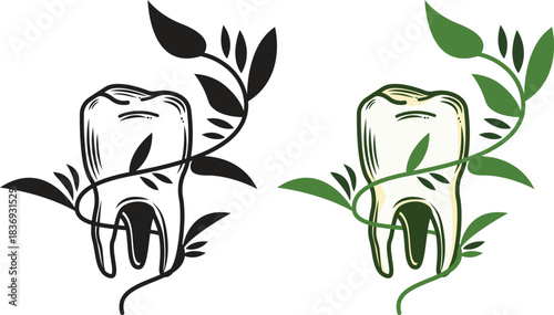 Eco Dental Tooth with Leaf Vine Vector Illustration, Suitable For Wellness Brands, Dental Logos, and Organic Healthcare Designs