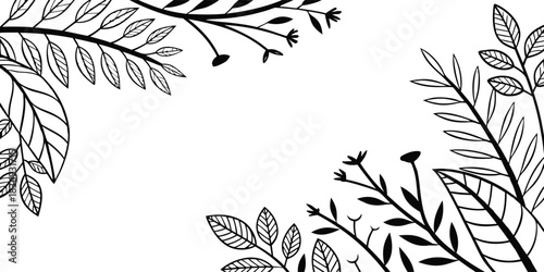 Black and White Botanical Illustration Border with Leaves and Flowers on White Background frame