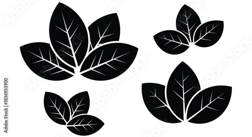 Set of black leaf silhouettes with white veins on white background