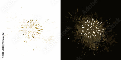 A striking visual contrast fireworks exploding in light and dark backgrounds