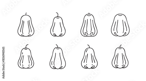 Hand drawn autumn pumpkins set isolated on white representing fall harvest and thanksgiving celebrations vector