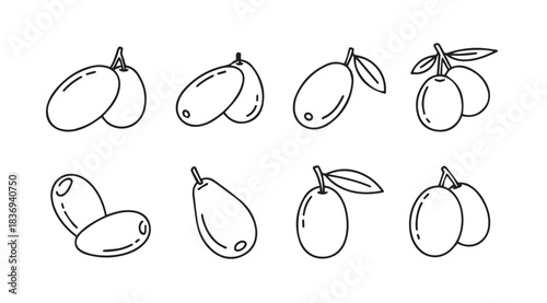 Hand-drawn botanical sketch of ripe goji berries on stems with leaves vector
