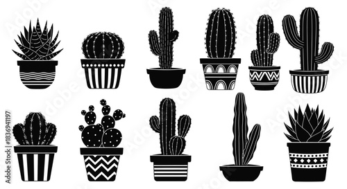 Black and white cactus illustrations in decorative pots for design