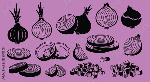 Onion illustrations in black and white for culinary designs