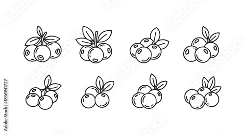 Hand-drawn blueberry illustrations featuring fresh berries with leaves perfect for design vector