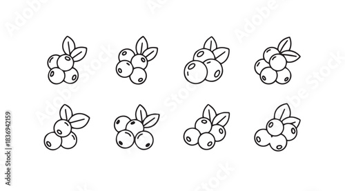 Hand drawn blueberry clusters with leaves set artistic sketch elements for food design vector