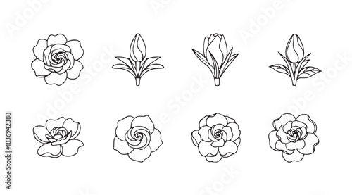 Set of hand drawn flower buds and blossoms sketch artistic line art isolated elements vector