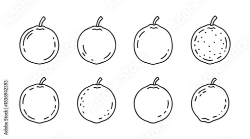 Eight hand drawn citrus fruit icons with sketchy lines showing variation and texture vector