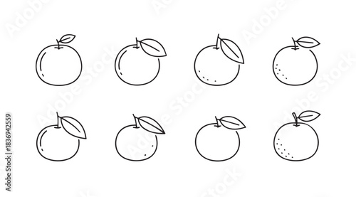 Hand drawn sketches of fresh apples with leaves various angles minimalist style fruit collection vector