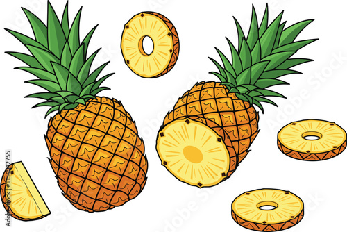 Colorful whole pineapples with sliced rings and cut pieces in detailed tropical fruit vector illustration for fresh food designs