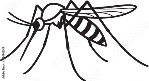 Mosquito Side View Detailed Vector Line Art Illustration.eps
