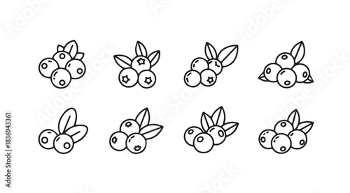 Hand drawn blueberry clusters with leaves fresh organic berries sketch collection vector