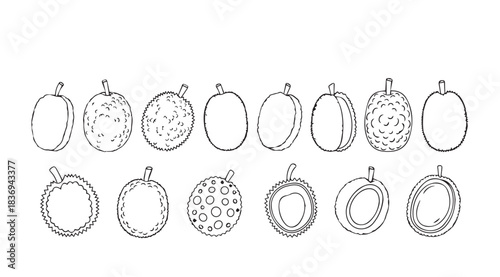 Collection of hand drawn pumpkin outlines for autumn harvest and halloween seasonal designs vector