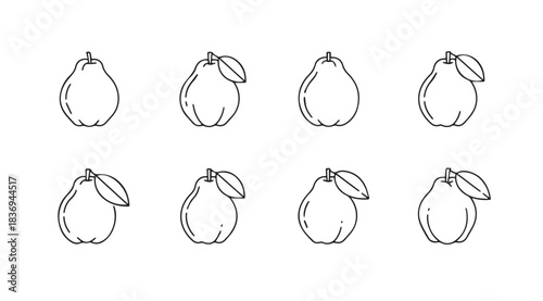 Sketchy pear collection fresh fruit artwork hand drawn organic produce design elements vector