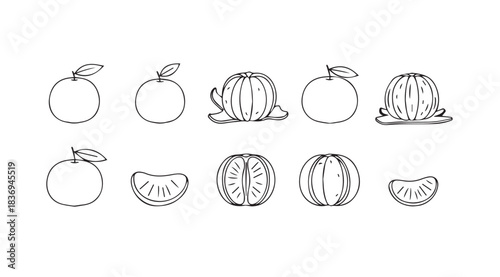 Hand drawn orange citrus fruit collection featuring whole peeled and sliced segments sketch vector