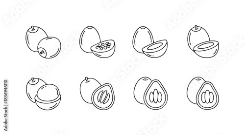 Collection of hand drawn fruit icon set freshness natural organic healthy lifestyle food art vector