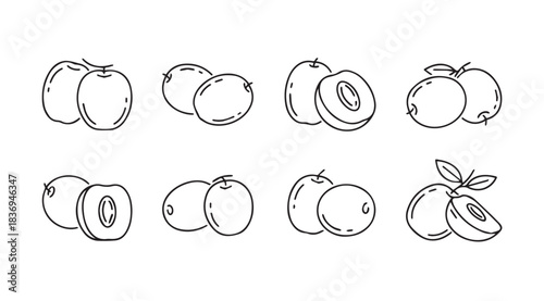 Collection of hand drawn plums and nectarines sketch isolated on vector