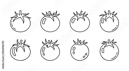Set of eight hand-drawn tomato sketches with varying details and textures for culinary and graphic design use vector