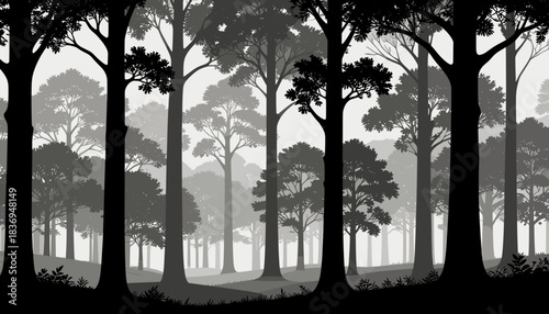 A serene grayscale illustration of a dense forest with tall trees silhouetted against a misty background, creating depth and a tranquil atmosphere.