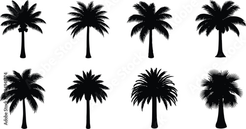 A collection of silhouetted palm trees in varying shapes and sizes
