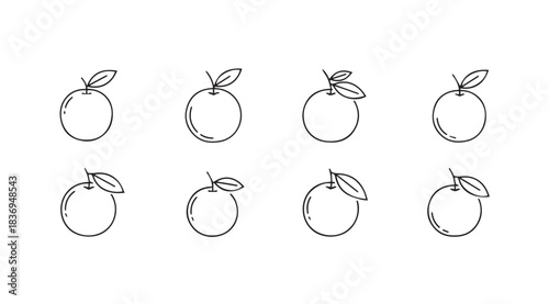 Collection of hand drawn orange fruit illustrations with leaves simple sketch style fruit icons vector