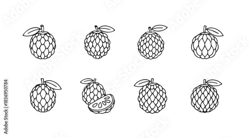 Hand drawn custard apple fruit collection isolated sketch style design elements vector
