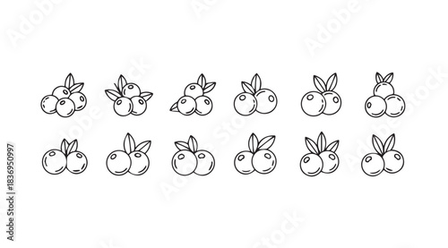 Delicate hand-drawn apple collection fresh fruit clusters with leaves artistic sketch style vector