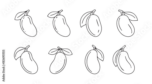 Hand drawn mango fruit collection fresh tropical food sketches isolated artistic food illustrations vector