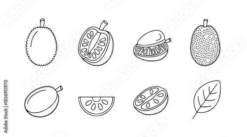 Hand drawn tropical fruits and leaf line art collection isolated fresh exotic produce vector
