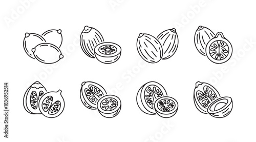 Hand drawn sketch collection of exotic tropical fruits with seeds and sections detailed food art vector