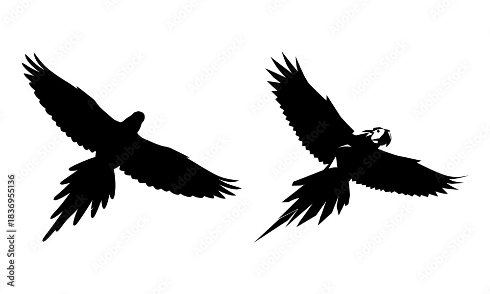 Fototapeta premium Elegant flying macaw parrot silhouettes in flight, tropical bird vector design