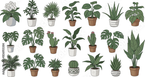Beautiful Indoor Houseplant Collection Vector Set Featuring Trendy Potted Foliage like Monstera, Aloe, Cactus, Palm, and Various Greenery for Home Decor, Nature, and Gardening Designs.