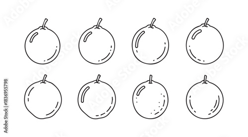 Hand-drawn sketch collection of eight round fruits with stems and leaves vector