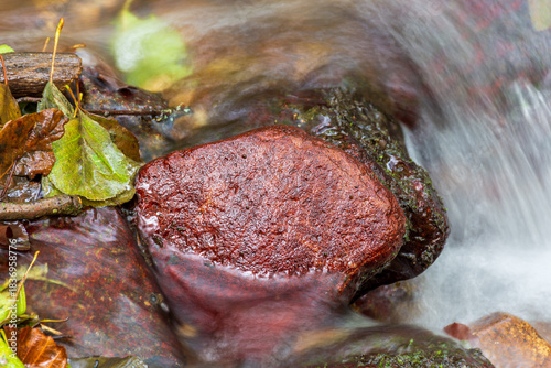 A small stream flows over smooth and rounded rocks in a forest in Skikda, Algeria.