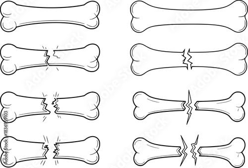 Collection of Cartoon Bones, Some Intact, Some Broken