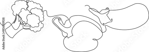 Vegetables One line set. Continuous one line drawing of broccoli, bell pepper and  an eggplant. Minimalist line drawing of different vegetables. vector illustration. 