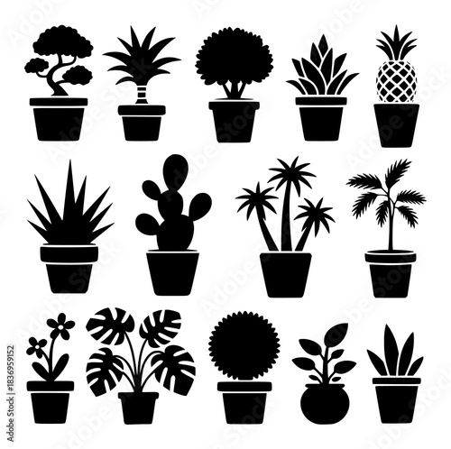 Collection of Silhouetted Potted Plants and a Pineapple
