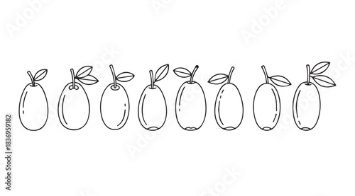 Hand drawn line art of seven plums with leaves isolated on white surface artistic sketch vector