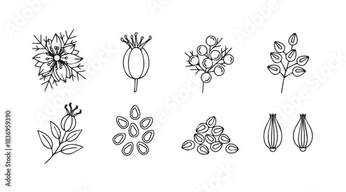 Botanical sketch collection of wild rose elements delicate floral drawings for design projects vector
