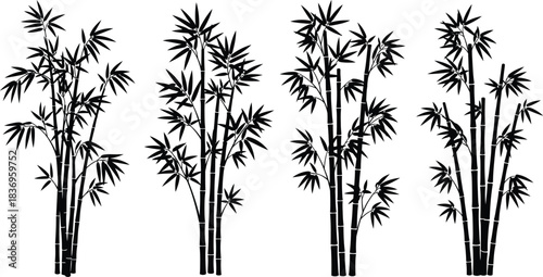 Elegant black and white illustration of four bamboo stalks in a row