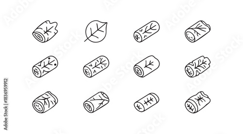 Hand drawn sketch icons of assorted cabbage rolls and leaves on vector