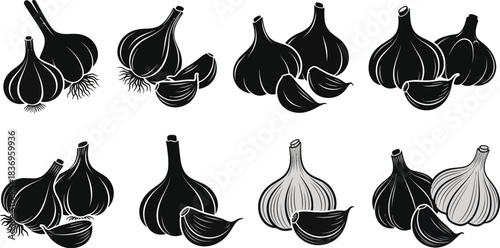 Black and white illustration of garlic bulbs and cloves in various arrangements