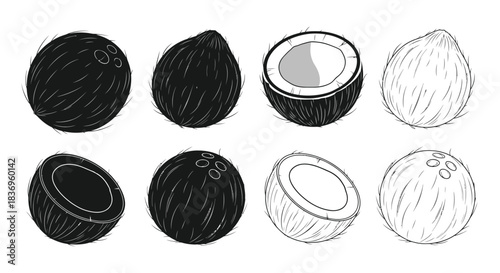 Illustration of coconuts in various stages of preparation and presentation