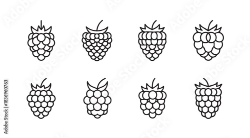 Hand drawn raspberry icons set simple outline fruit graphics for healthy food design elements vector