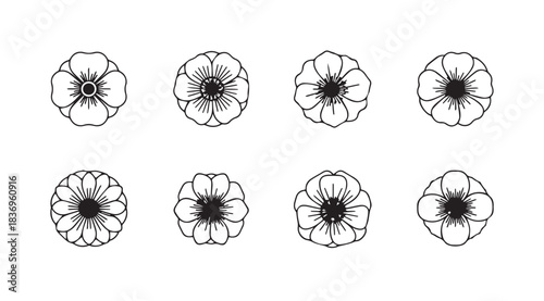 Set of delicate hand-drawn anemone flower illustrations with detailed petals and centers vector