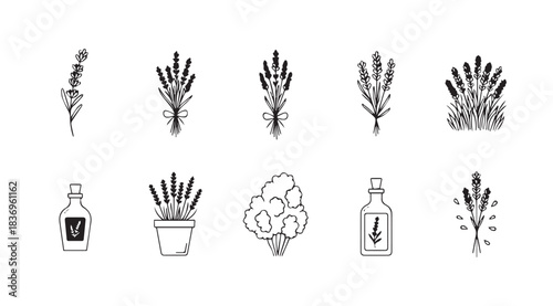 Collection of hand-drawn lavender sprigs and related botanical elements in outline style vector