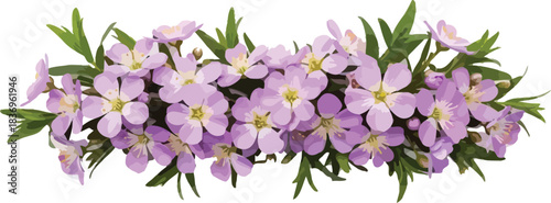 Vibrant arrangement of delicate purple flowers with fresh green leaves, creating a beautiful border or decorative element on a clean white background.