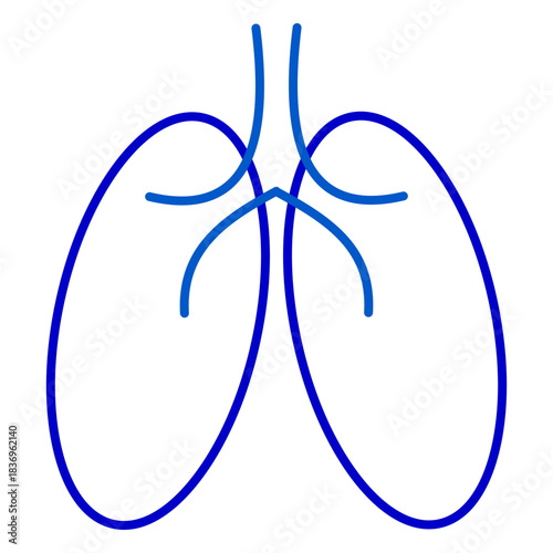 Outline Human Respiratory Lungs